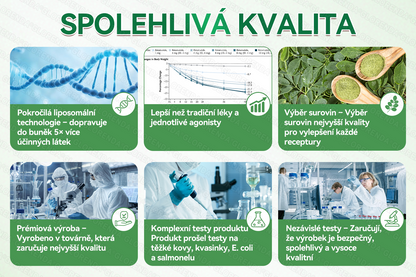 🎒Oficiální obchod|𝑮𝑳𝑶𝑹𝑬𝐍𝐃𝗔® Moringa·Berberin×NAD+10-v-1 Pokročilá Nano Mikronáplňová Náplast (pouze jednou denně, viditelné změny během 7 dní) ✅ Pro osoby s obezitou, povolenou kůží, cukrovkou, spánkovou apnoe, problémy se klouby a dalšími obtížemi.