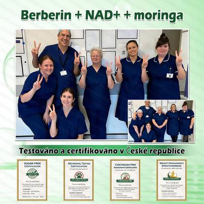 🎒Oficiální obchod|𝑮𝑳𝑶𝑹𝑬𝐍𝐃𝗔® Moringa·Berberin×NAD+10-v-1 Pokročilá Nano Mikronáplňová Náplast (pouze jednou denně, viditelné změny během 7 dní) ✅ Pro osoby s obezitou, povolenou kůží, cukrovkou, spánkovou apnoe, problémy se klouby a dalšími obtížemi.